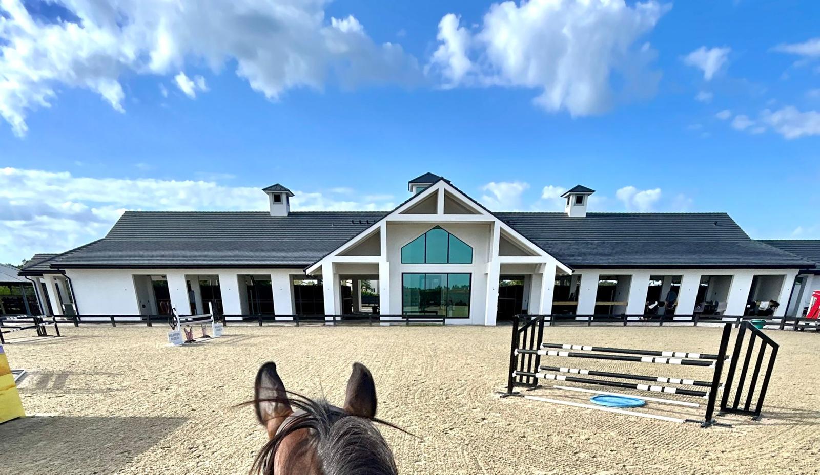 My Mancini Experience